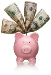 Pink Piggy Bank with Dollars - Isolated