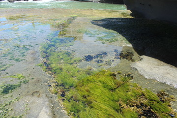 la lobera baja california