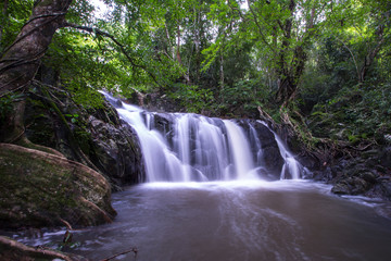Fototapeta premium Wodospad w lesie