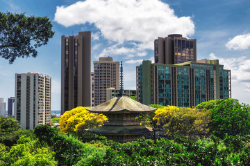 Fototapeta premium View of chinese pagoda in Honolulu memorial park and office buildings on a sunny day, Hawaii