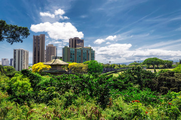 Fototapeta premium View of chinese pagoda in Honolulu memorial park and office buildings on a sunny day, Hawaii
