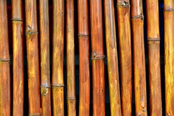 painted bamboo lacquered background fence