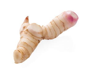 Fresh galangal isolated on white background.