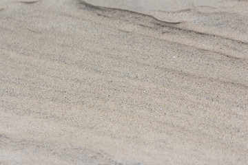 detail of sand coral and shell after water down.