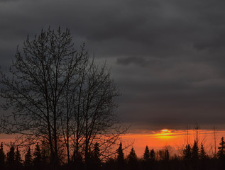 Fototapeta premium Sunset