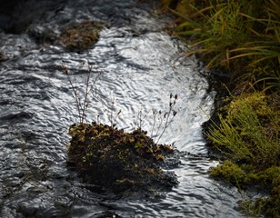 Mountains and Waters