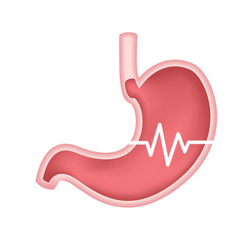 Human stomach pulse. Icon design. Illustration isolated on white background.