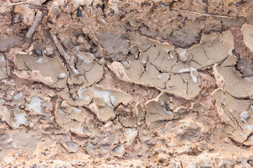 surface of the dry soil.