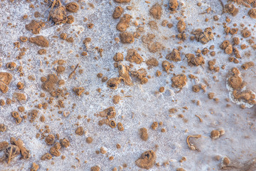 Salt on the soil surface