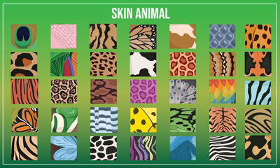 Vector illustration of Animal Texture Skin
