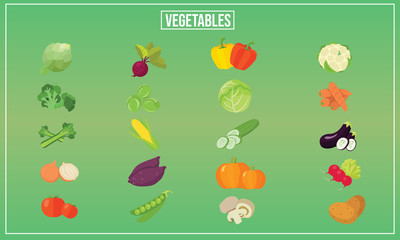 Vector illustration of Vegetable graphic 