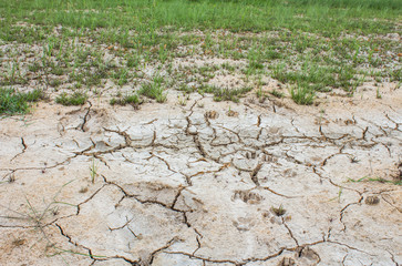 Salt on the soil surface