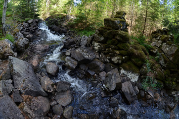 Ruins of an old mill covered with wood
