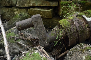 Fototapeta premium Ruins of an old mill covered with wood 