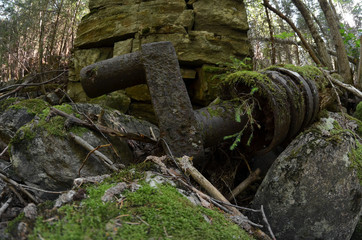Obraz premium Ruins of an old mill covered with wood 