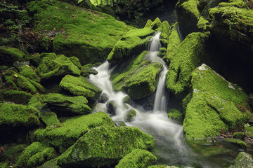 Streams flowing through moss-covered rocks