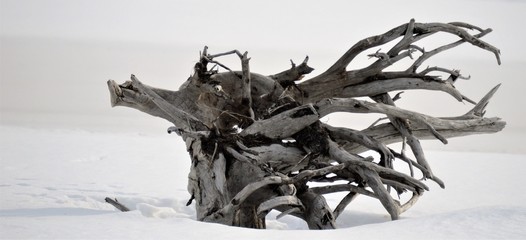 Things Found in Frozen Lake