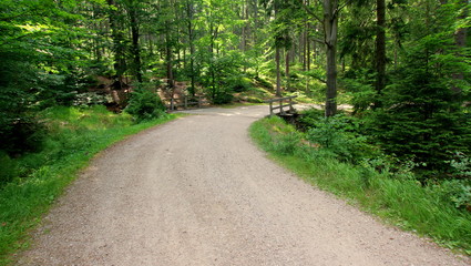 Kładka w lesie na górskiej szutrowej drodze prowadzącej przez zielony las