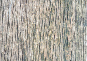Fototapeta premium Old plank