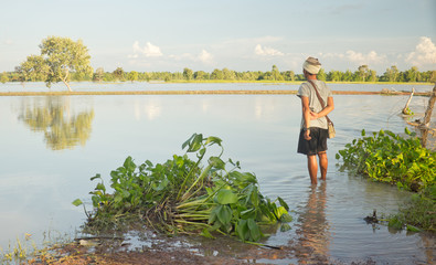 Fototapeta premium Farmers and flooded fields