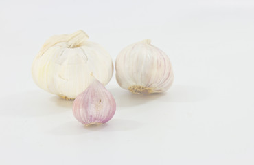 Obraz premium Garlic head