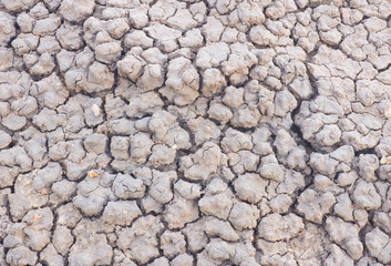 Arid soil