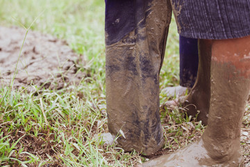 Legs in muddy of parent and children  standing beside the rice field