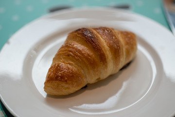Plain croissant on white plate
