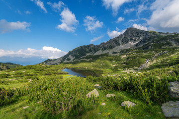 Fototapeta na wymiar Amazing Landscape with Muratov Peak and Mountain River.