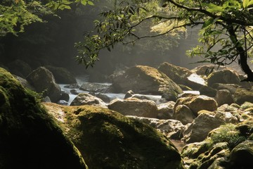 清流が流れる菊池渓谷