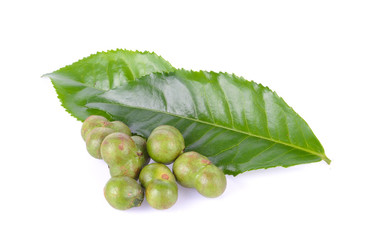 tea seed on white background