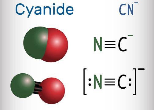 Cyanide anion molecule. Structural chemical formula and molecule model