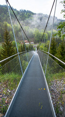 Obraz premium Alpine forest Cable bridge - symbolising connectivity across chasms. The chasms in big data need be connected & analysed via a deep learning algorithm, symbolised by the very stable bridge meshwork .