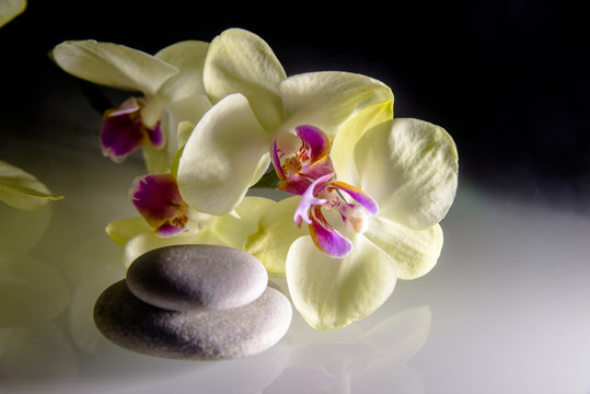flat stones on a white glass on the background of yellow orchids 
