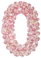 Arabic numeral 0, zero, from flowers of hydrangea, isolated on white background