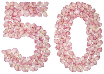 Arabic numeral 50, fifty, from flowers of hydrangea, isolated on white background