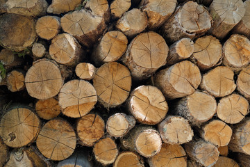 Wooden natural cut logs textured background, cut Lumber woodpile for forestry industry. Lumber, firewood, timber.