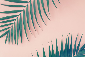 Palm leaves over pink background. Trend vintage toned.