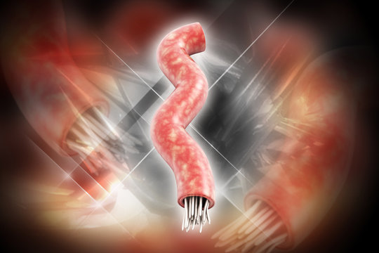 3d rendered tapeworm isolated on color background