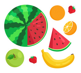 Fruits Collection Summer Set Vector Illustration