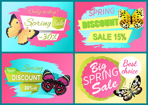 Spring Discount Sale Off Set Emblems Butterflies