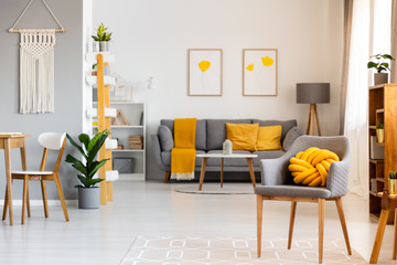 Yellow pillow on grey armchair in spacious flat interior with posters above sofa with blanket. Real photo