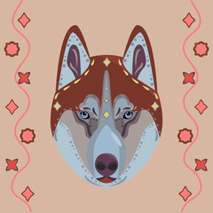  Husky dog ​​in ethnic style. A cartoon dog. Floral ornament.