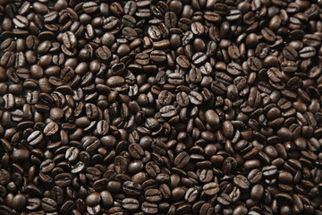 コーヒー豆