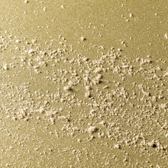 crumbs from dried bread