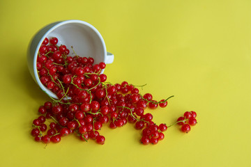 Red  sweet currant in white lying on one side cup on yellow background