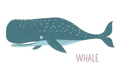 Foto op Plexiglas Heavy oceanic whale childish cartoon character © Sonulkaster