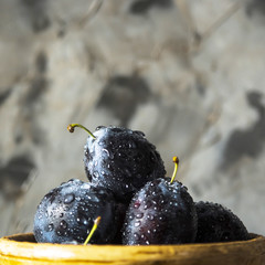 Ripe blue plums in a clay bowl on a gray table. Summer seasonal fruit concept