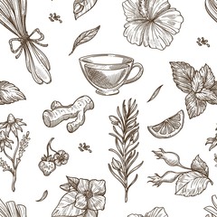 Herbs sketch vector seamless pattern background