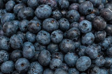 Blueberry with drops of water 